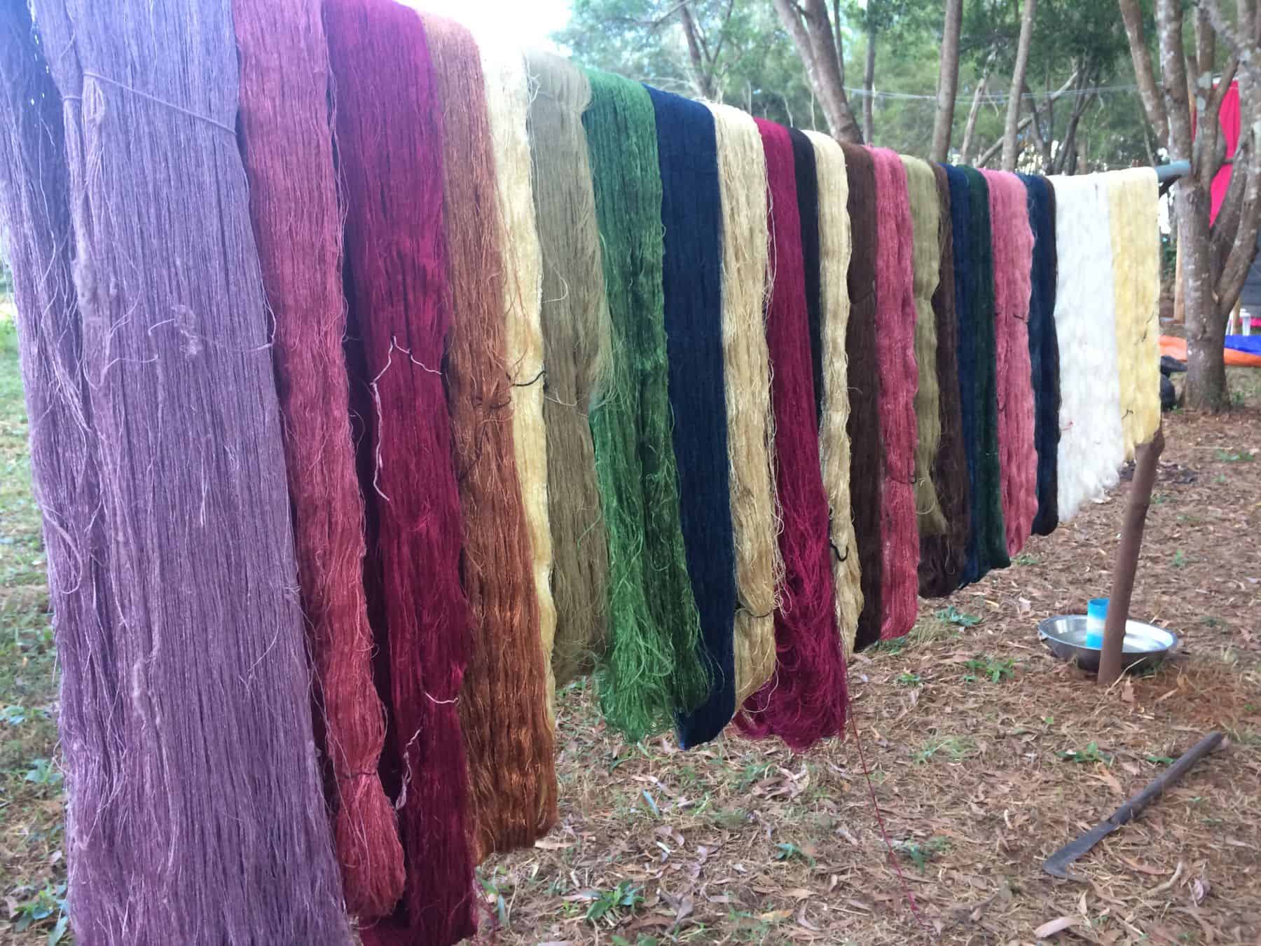 2014: The dyes used to color the silk come from many plants, including indigo, marigolds, and turmeric vine. These can be cultivated or found in nature. Families can create more than 100 colors and shades from these natural ingredients. 