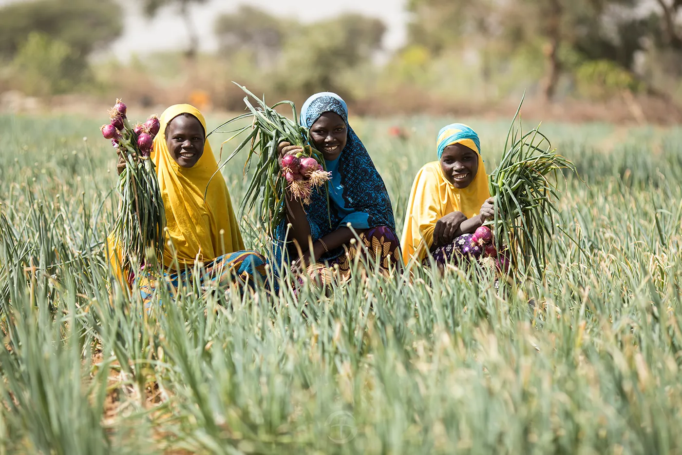 Children and families in a community supported by food projects, agriculture training, and Gospel-centered care.