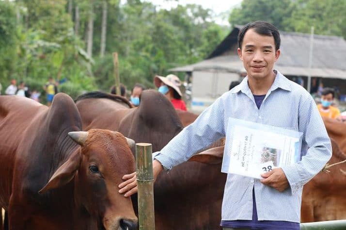 Our project is helping Chua learn about cattle raising so that he can better support his family.