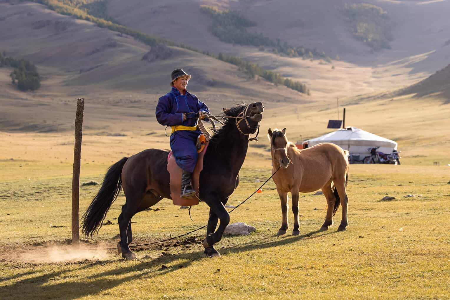 Baljinnyam regularly keeps track of his livestock on horseback.