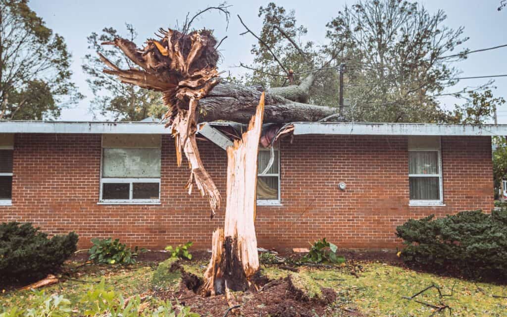 Hurricane Fiona, which tore through Atlantic Canada in September, was one of the strongest storms to ever hit our nation. More than 500 families have called for help amid Hurricane Fiona’s widespread damage.