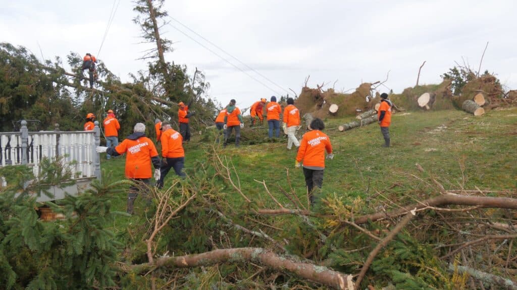 It can take an army. A large team of volunteers helps one homeowner remove a dozen large trees that came down on her property, four on her house.