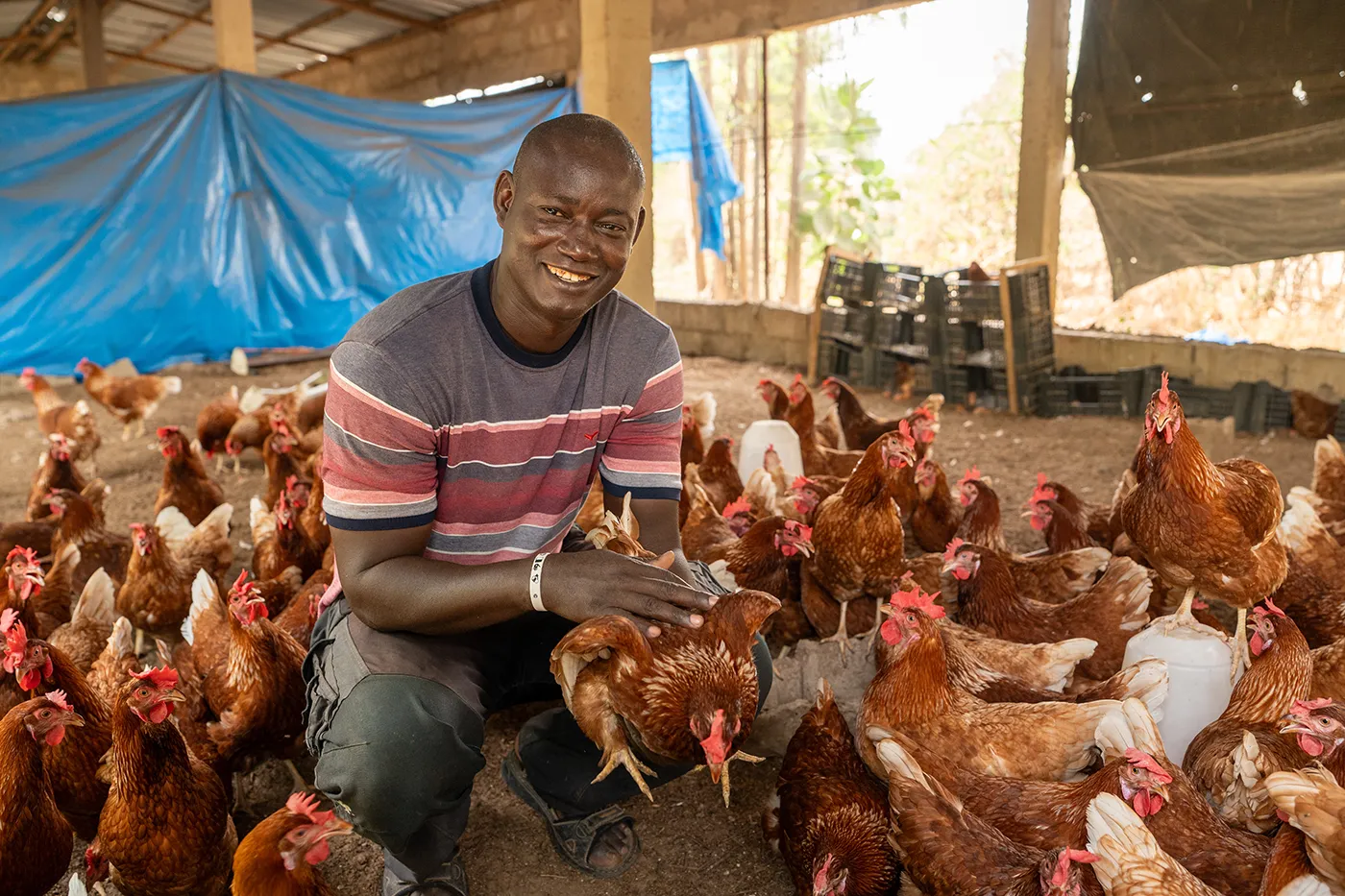 Agriculture training and food-security support helping families grow stronger harvests.