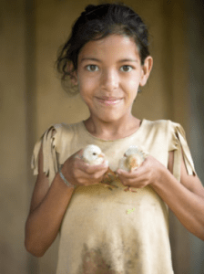 Girl holding two chicks